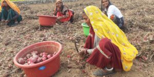 IHDS-3 Field Training and Data Collection