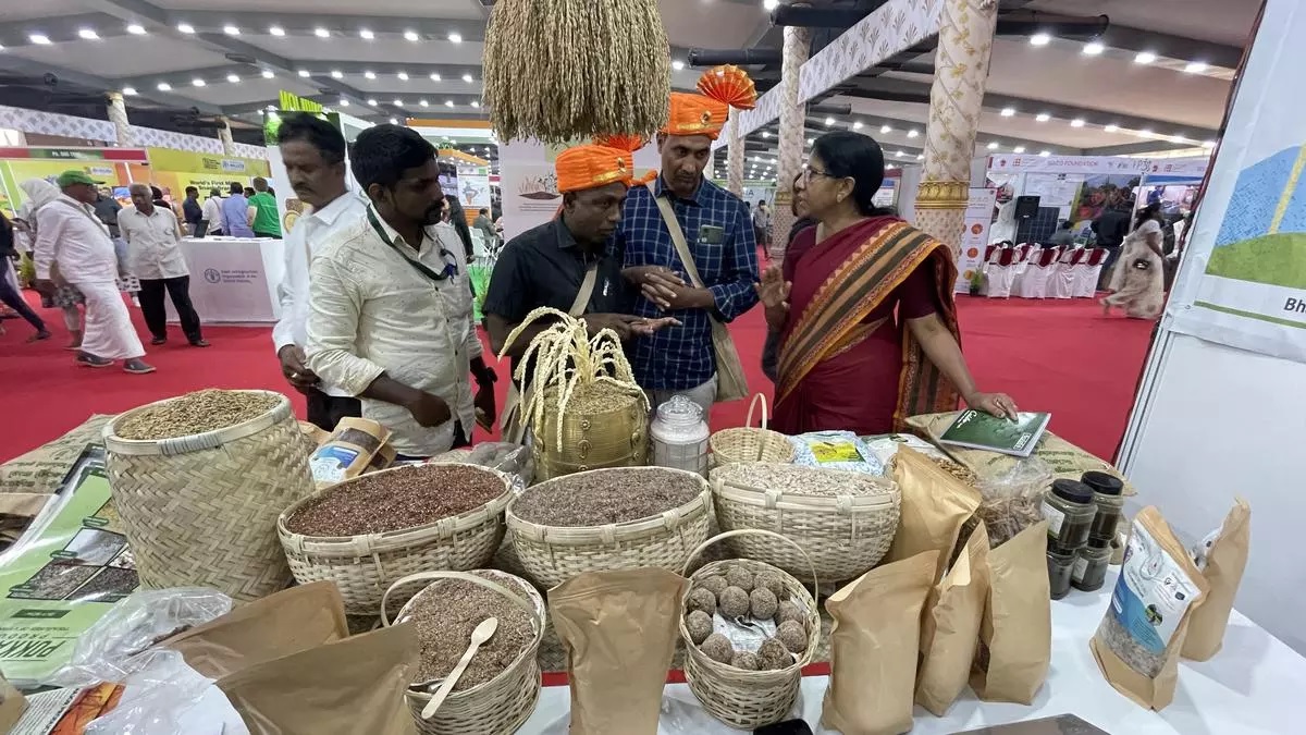 Save Mission Millet before it crashes