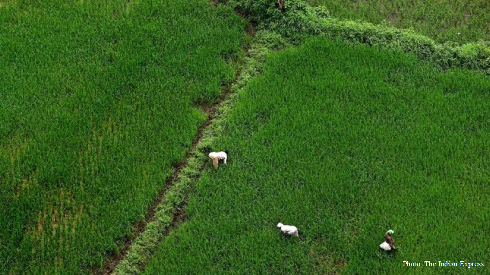 Dear Donald Trump, hear out Indian farmers